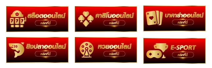 ฮานอย visa สด